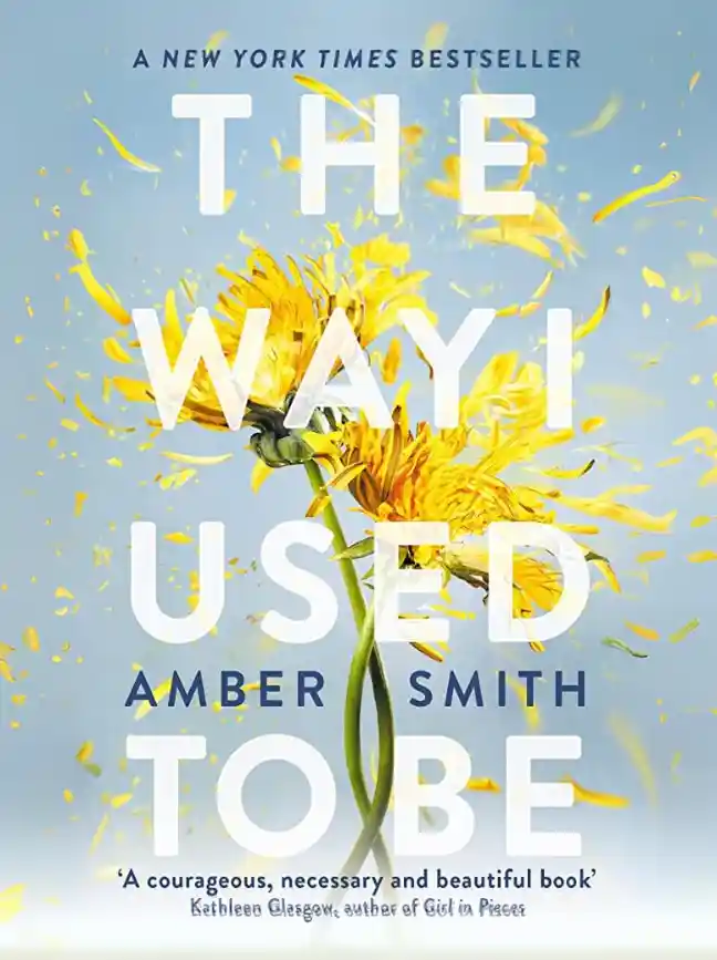 The Way I Used to Be by Amber Smith