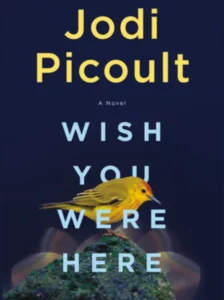 Wish You Were Here by Jodi Picoult