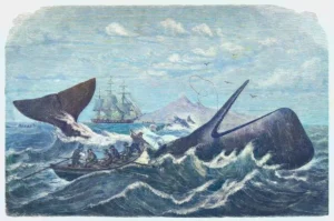 Moby-Dick or, The Whale by Herman Melville