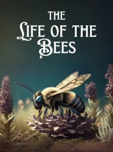 The Life of the Bees