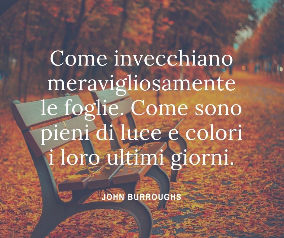Una delle frasi sull'autunno scritta da John Burroughs